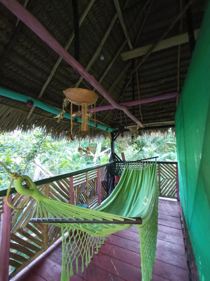 Hostal Buho Amazonas Tours Leticia Exterior foto